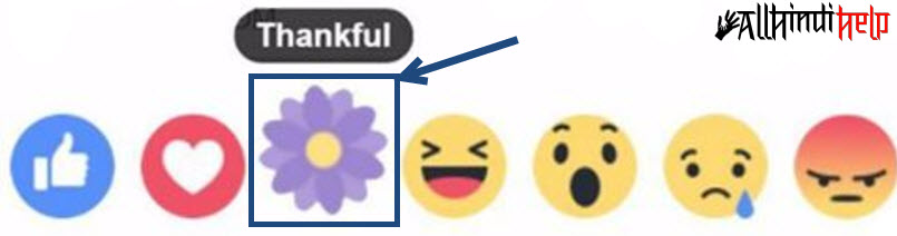 purple-flower-thankful-reaction