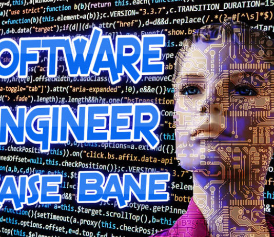 software engineer kaise bane-become a software developer