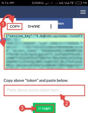 copy-paste-access-token-and-login