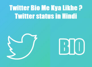 twitter bio me kya likhe twitter status in hindi