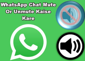 whatsapp mute kaise kare in hindi